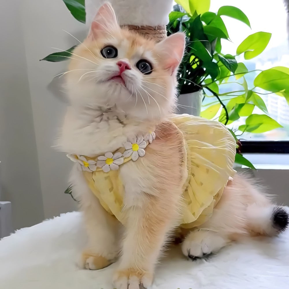 Vestidinho de verão lindinho demais saia fina amarela com gola detalhada floral - Leleo Pets