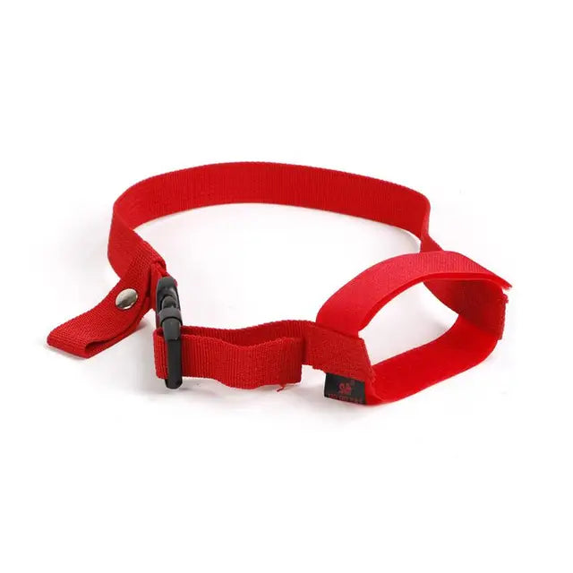 focinheira anti mordida e latido Leleo Pets