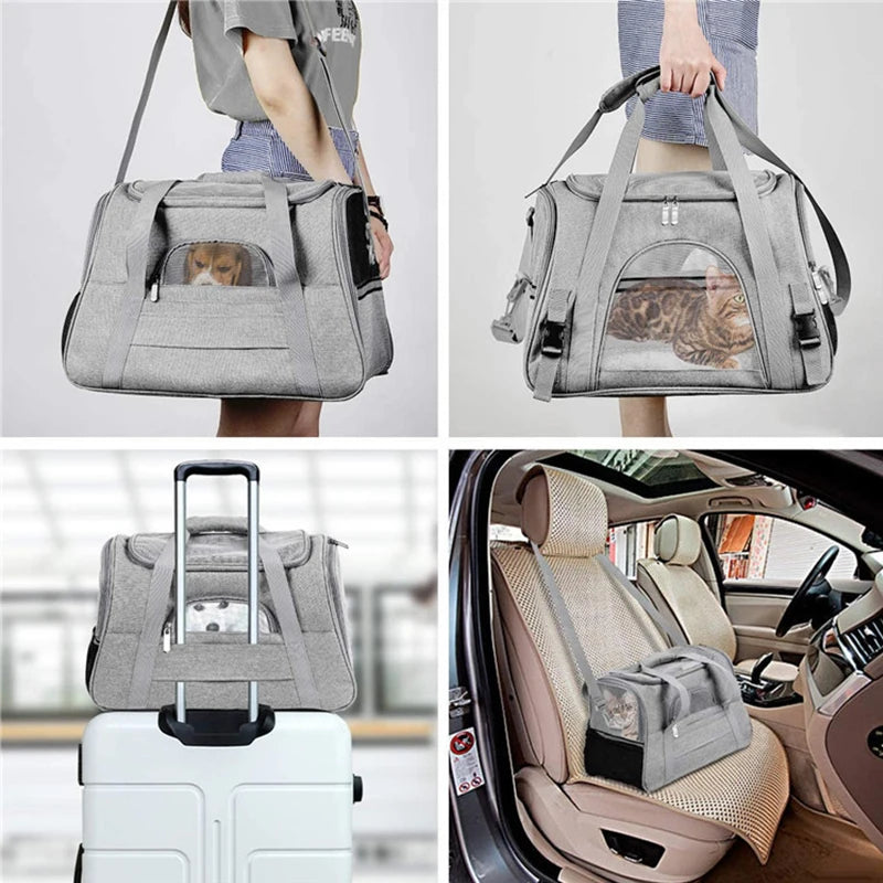 Mochila transportadora Mala gato Tapete Fofo respirável Muitos Bolsos Leleo Pets