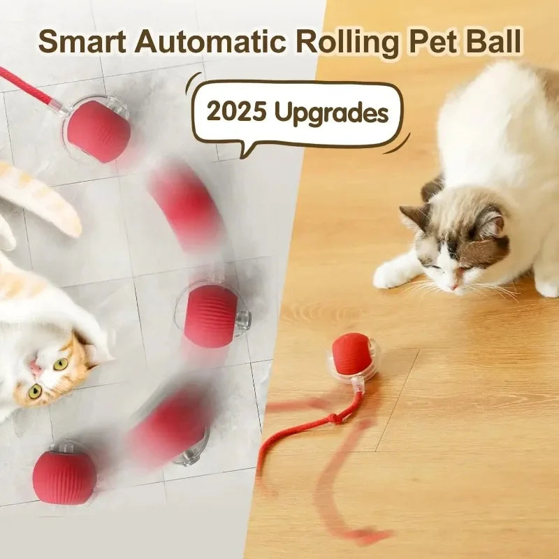 Brinquedo inteligente Bola Recarregável anti estresse Leleo Pets