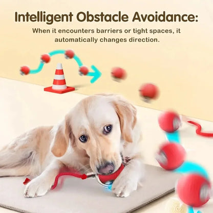 Brinquedo inteligente Bola Recarregável anti estresse Leleo Pets