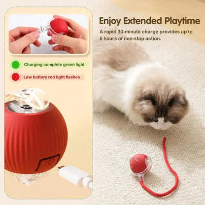 Brinquedo inteligente Bola Recarregável anti estresse Leleo Pets