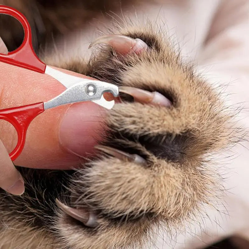 Cortador de unha para seu amigo(a) Leleo Pets