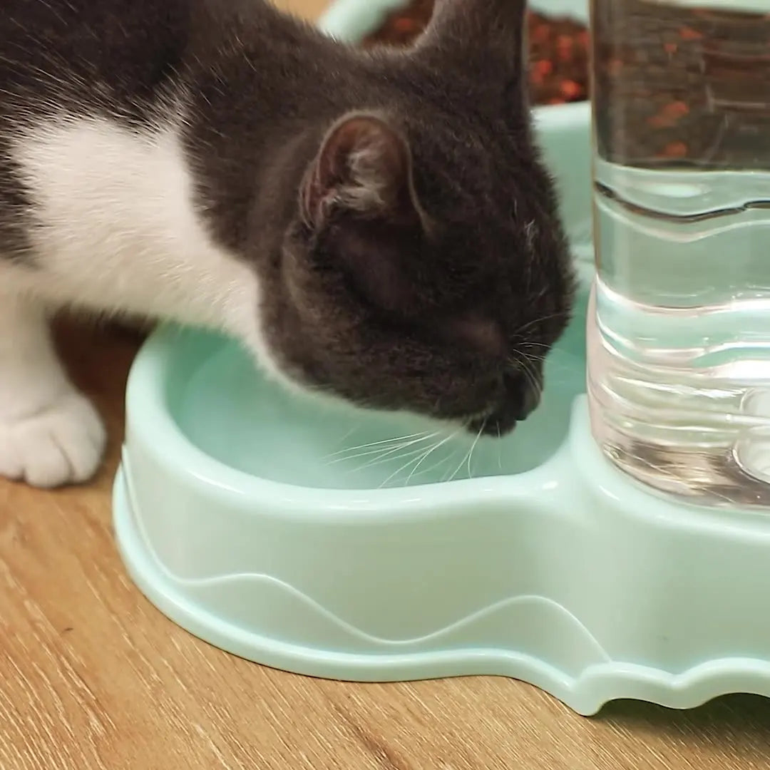 Comedouro Automático Comida e Água Leleo Pets Capacidade de 3.8kg