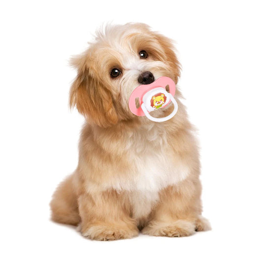 Chupetinha Resistente e relaxante Leleo Pets