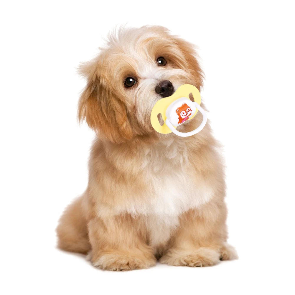 Chupetinha Resistente e relaxante Leleo Pets