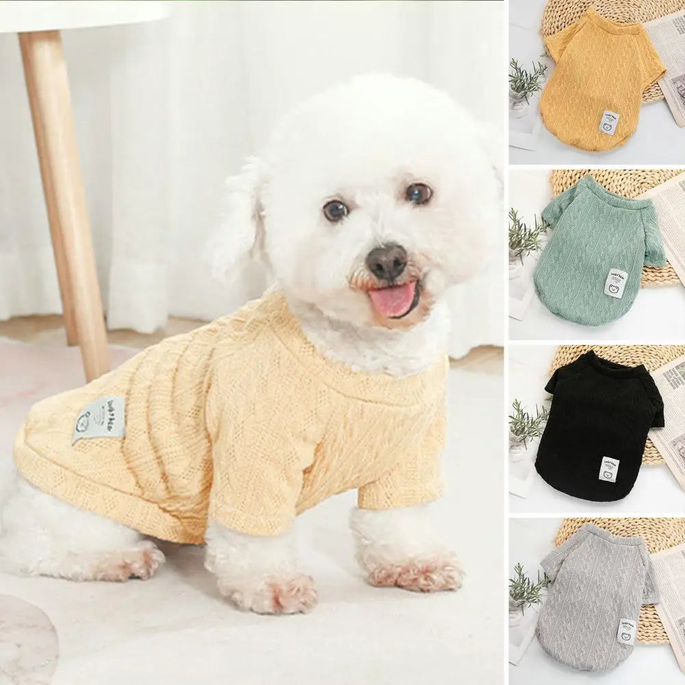 Suéterzinho macio para atividades ao ar livre quentinho Leleo Pets