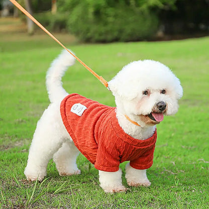Suéterzinho macio para atividades ao ar livre quentinho Leleo Pets