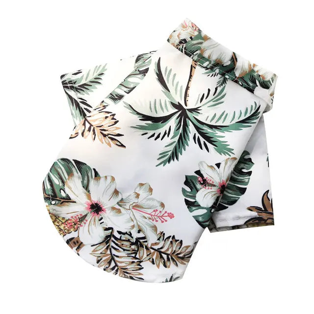 Camisa verão praia fofa Leleo Pets