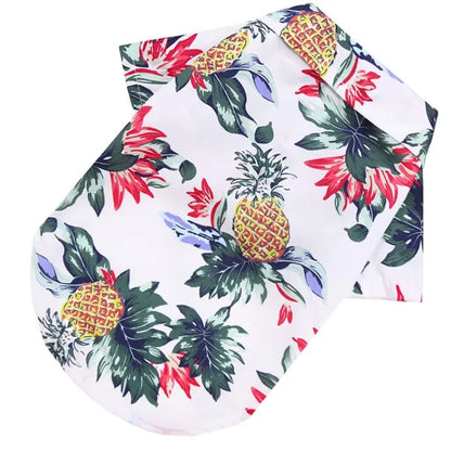 Camisa verão praia fofa Leleo Pets
