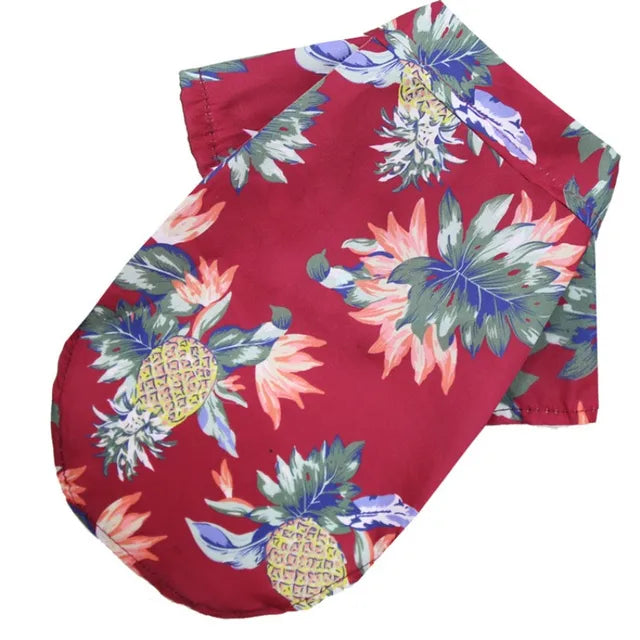 Camisa verão praia fofa Leleo Pets