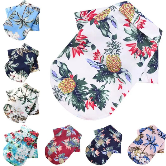 Camisa verão praia fofa Leleo Pets