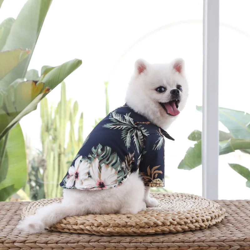 Camisa verão praia fofa Leleo Pets