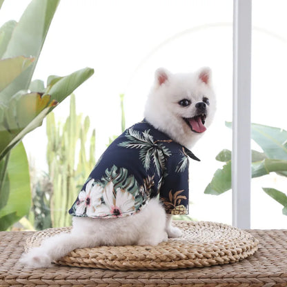 Camisa verão praia fofa Leleo Pets