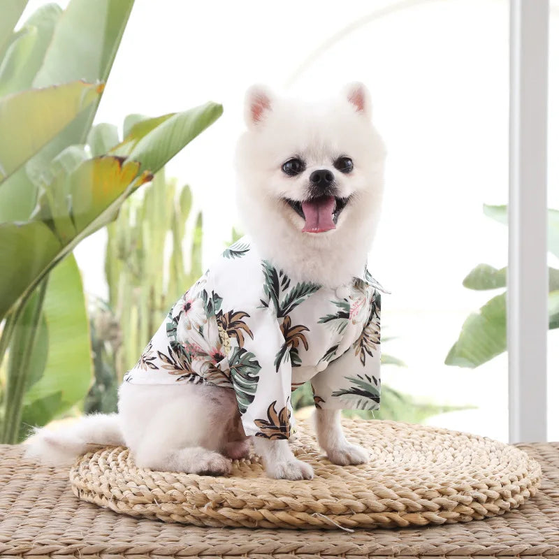 Camisa verão praia fofa Leleo Pets