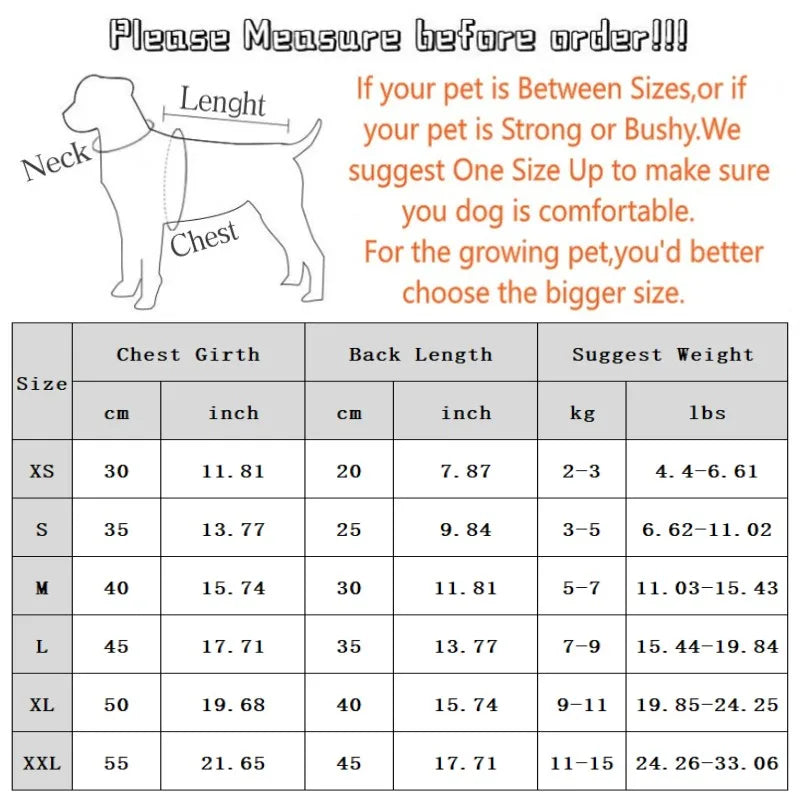 Camisa verão praia fofa Leleo Pets