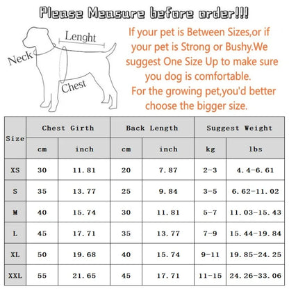Camisa verão praia fofa Leleo Pets