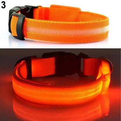 Coleira de LED para a noite confortável Leleo Pets
