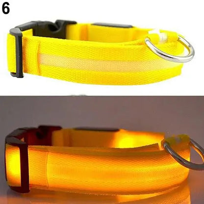 Coleira de LED para a noite confortável Leleo Pets