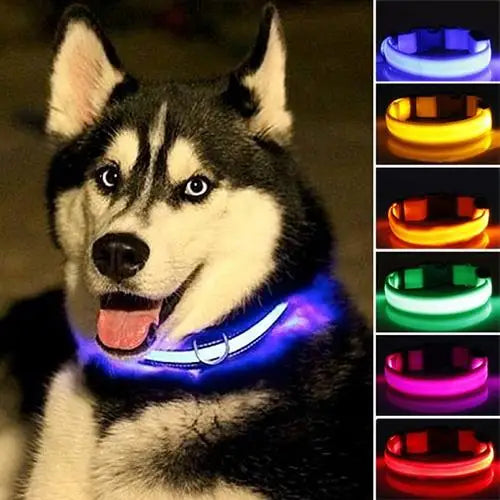 Coleira de LED para a noite confortável Leleo Pets