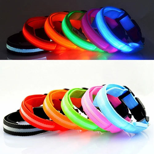 Coleira de LED para a noite confortável Leleo Pets