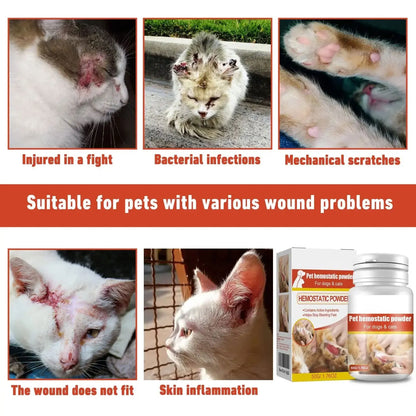 Pó hemostático limpa feridinha Leleo Pets