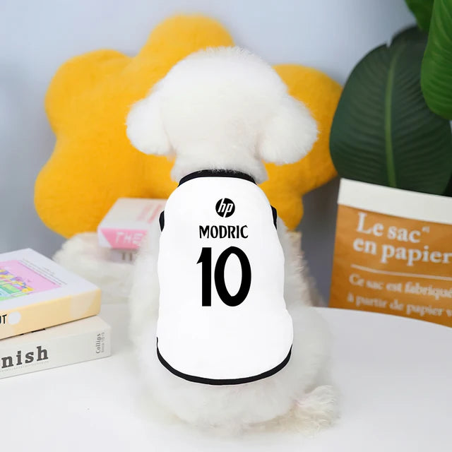 Camiseta futebol Real Madrid e Manchester City fofinho Leleo Pets