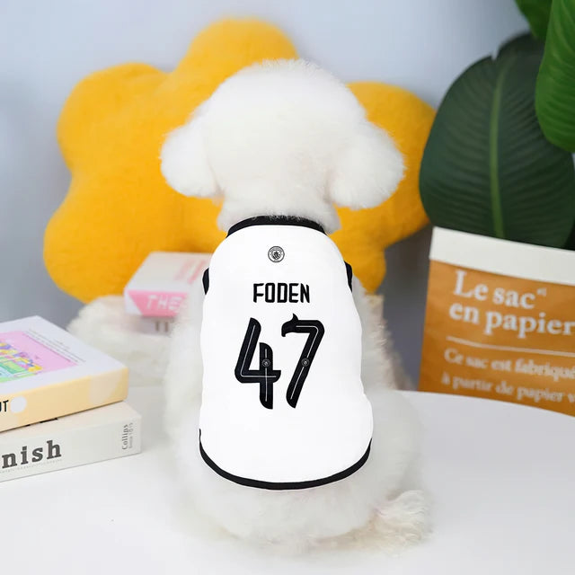 Camiseta futebol Real Madrid e Manchester City fofinho Leleo Pets