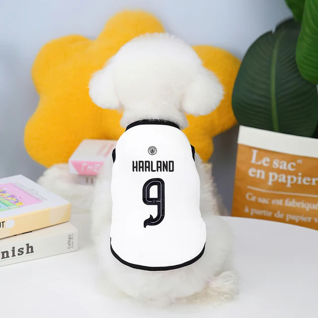 Camiseta futebol Real Madrid e Manchester City fofinho Leleo Pets