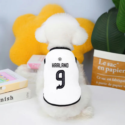 Camiseta futebol Real Madrid e Manchester City fofinho Leleo Pets