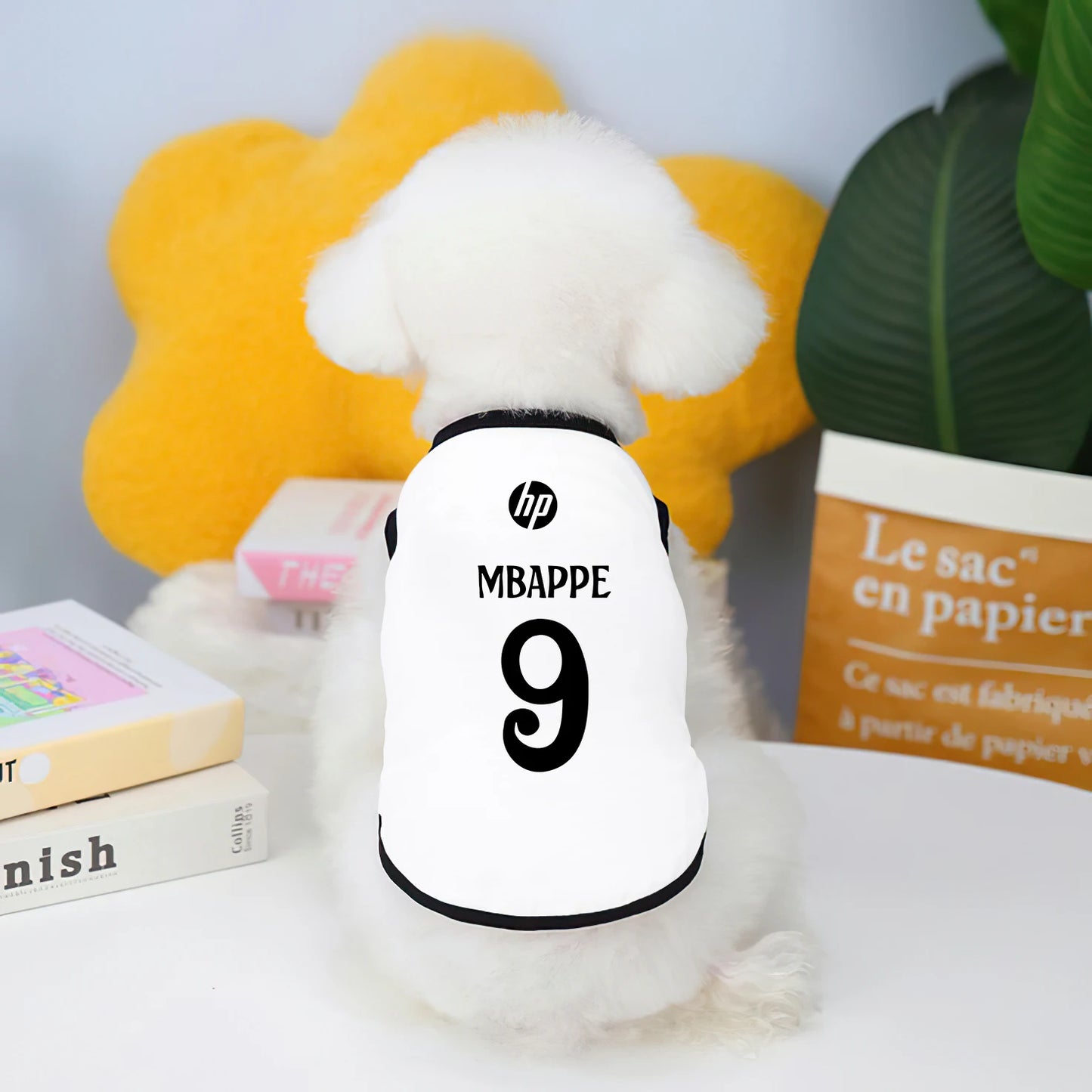 Camiseta futebol Real Madrid e Manchester City fofinho Leleo Pets