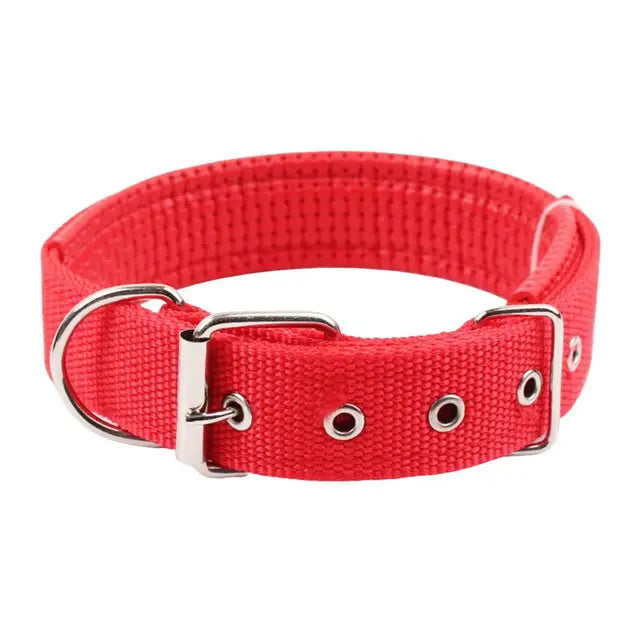 Coleira fofa de Nylon ajustável Leleo Pets