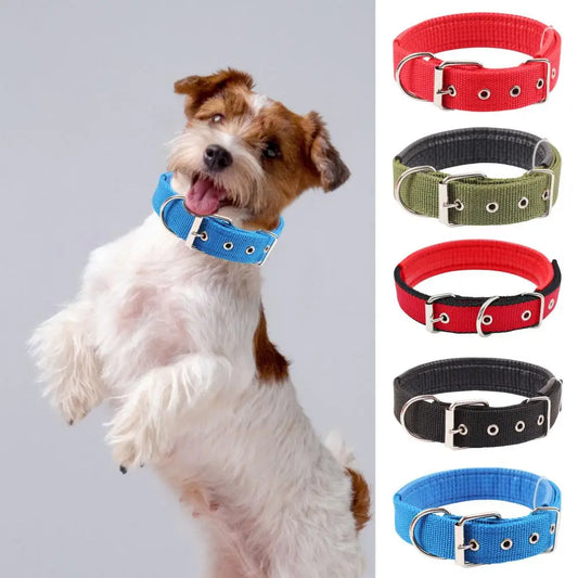 Coleira fofa de Nylon ajustável Leleo Pets