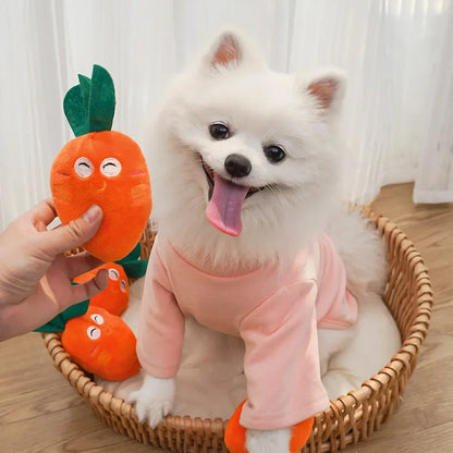 Brinquedo Mordedor Cenourinha Resistente Leleo Pets