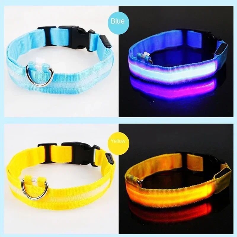 Coleira brilhante com led, ajustável recarregável e luminosa em dias noturnos - Leleo Pets