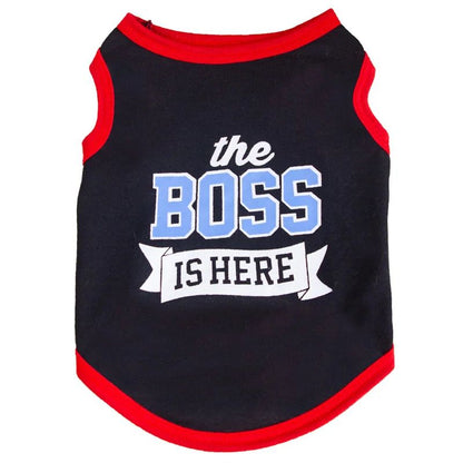 Camiseta de algodão com estampas fofinhas a escolha - Leleo Pets