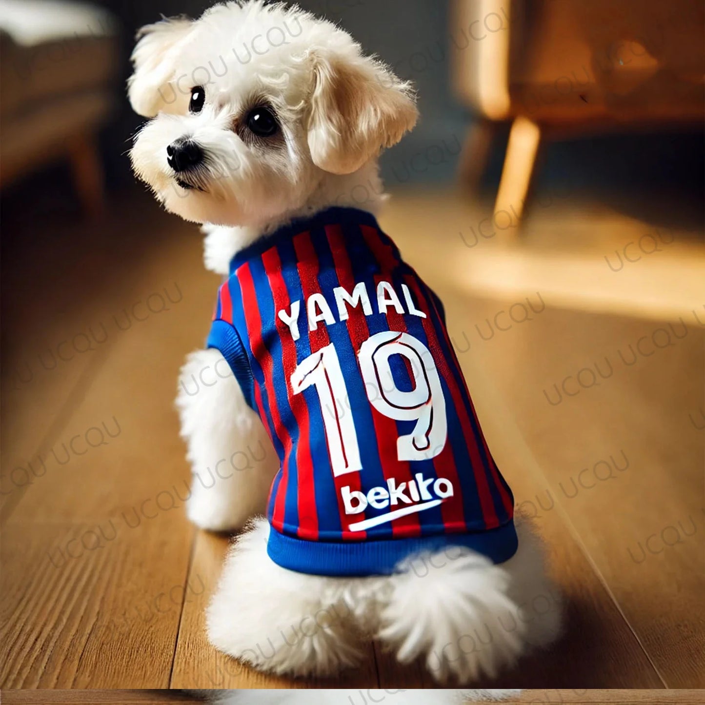Camiseta Yamal 19 Barcelona futebol Leleo Pets