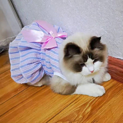 Vestidinho fofinho de princesa diversos modelos - Leleo Pets