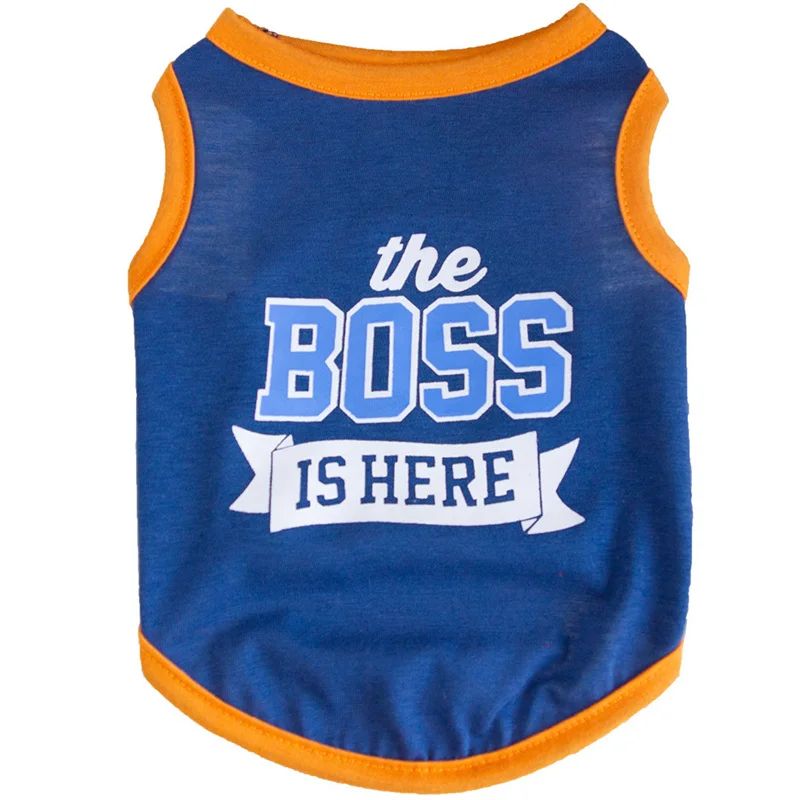 Camiseta de algodão com estampas fofinhas a escolha - Leleo Pets