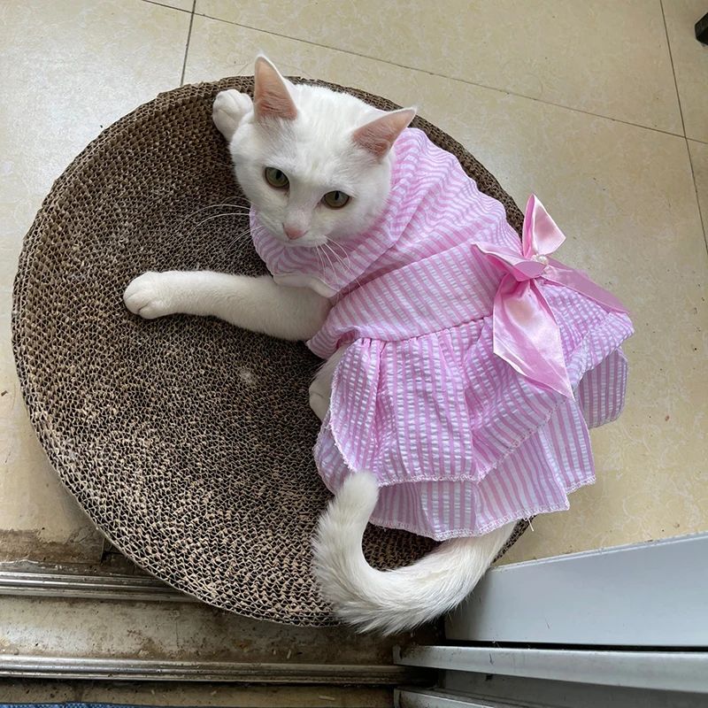Vestidinho fofinho de princesa diversos modelos - Leleo Pets