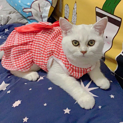 Vestidinho fofinho de princesa diversos modelos - Leleo Pets