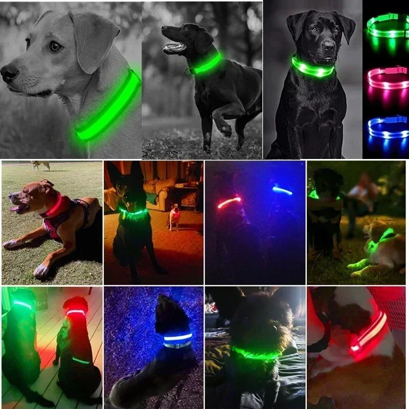 Coleira brilhante com led, ajustável recarregável e luminosa em dias noturnos - Leleo Pets