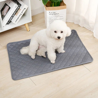 Almofada tapete reutilizável ultra absorvente lavável para xixi - Leleo Pets