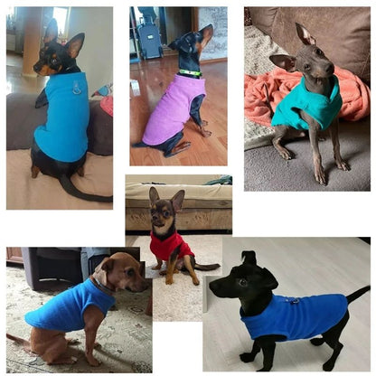 Moletom de lã macia e quentinha muito funcional e prático para o frio - Leleo Pets