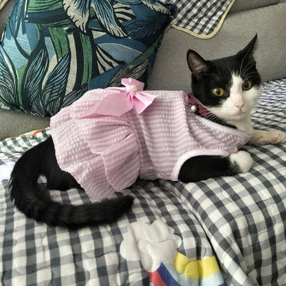 Vestidinho fofinho de princesa diversos modelos - Leleo Pets