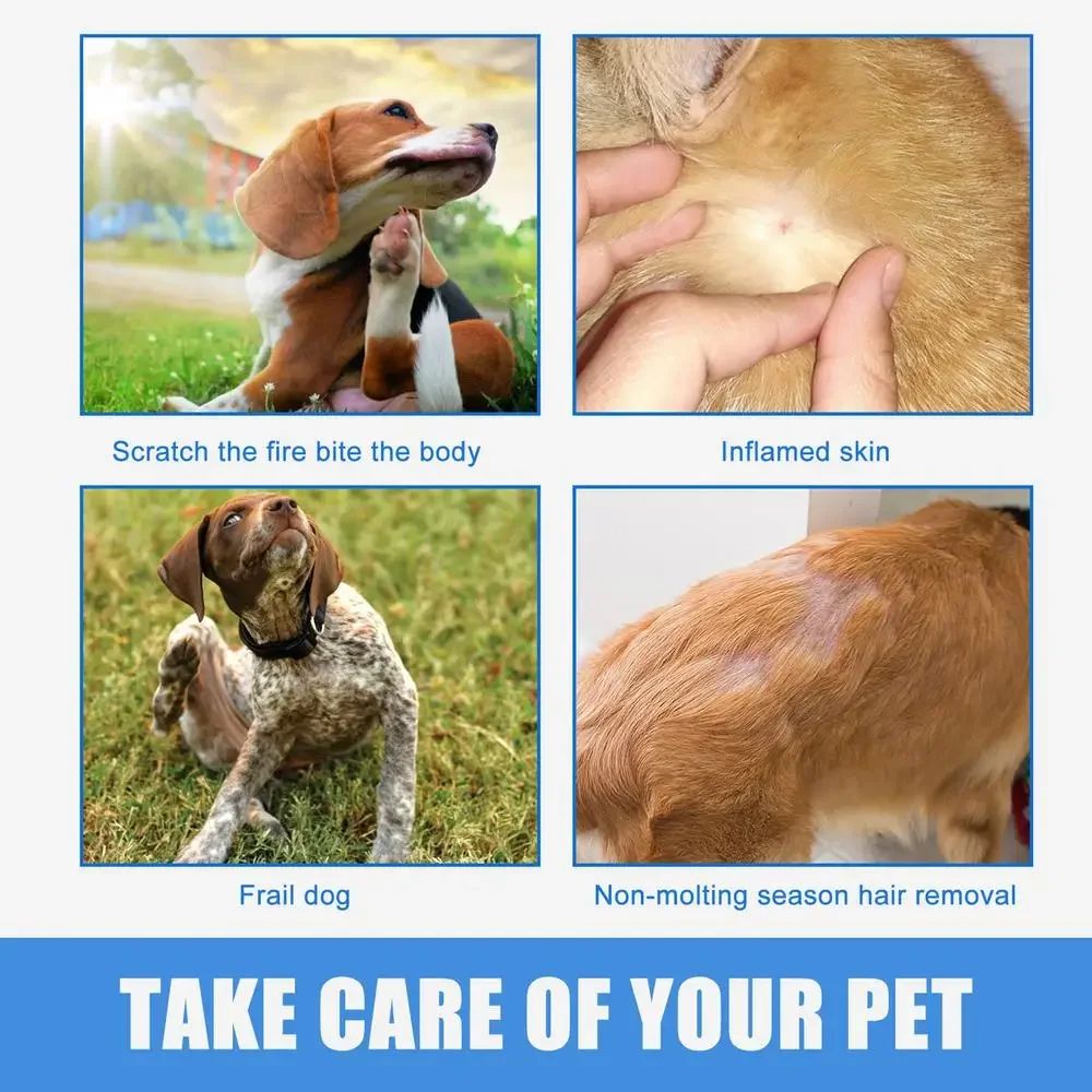 Spray 30ml efeito anti-coceira e alívio na pele - Leleo Pets