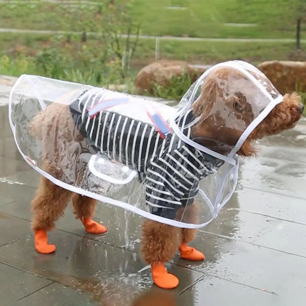 Capa de chuva fofa Leleo Pets