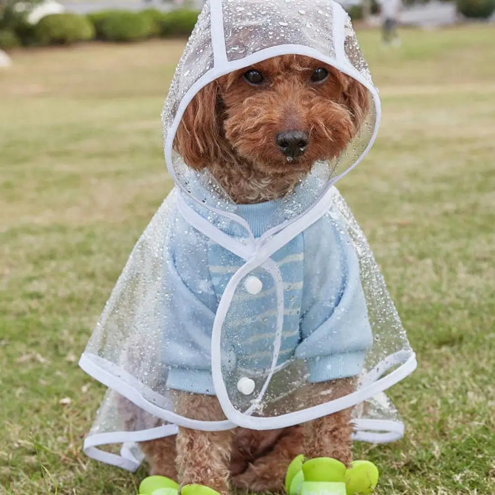 Capa de chuva fofa Leleo Pets