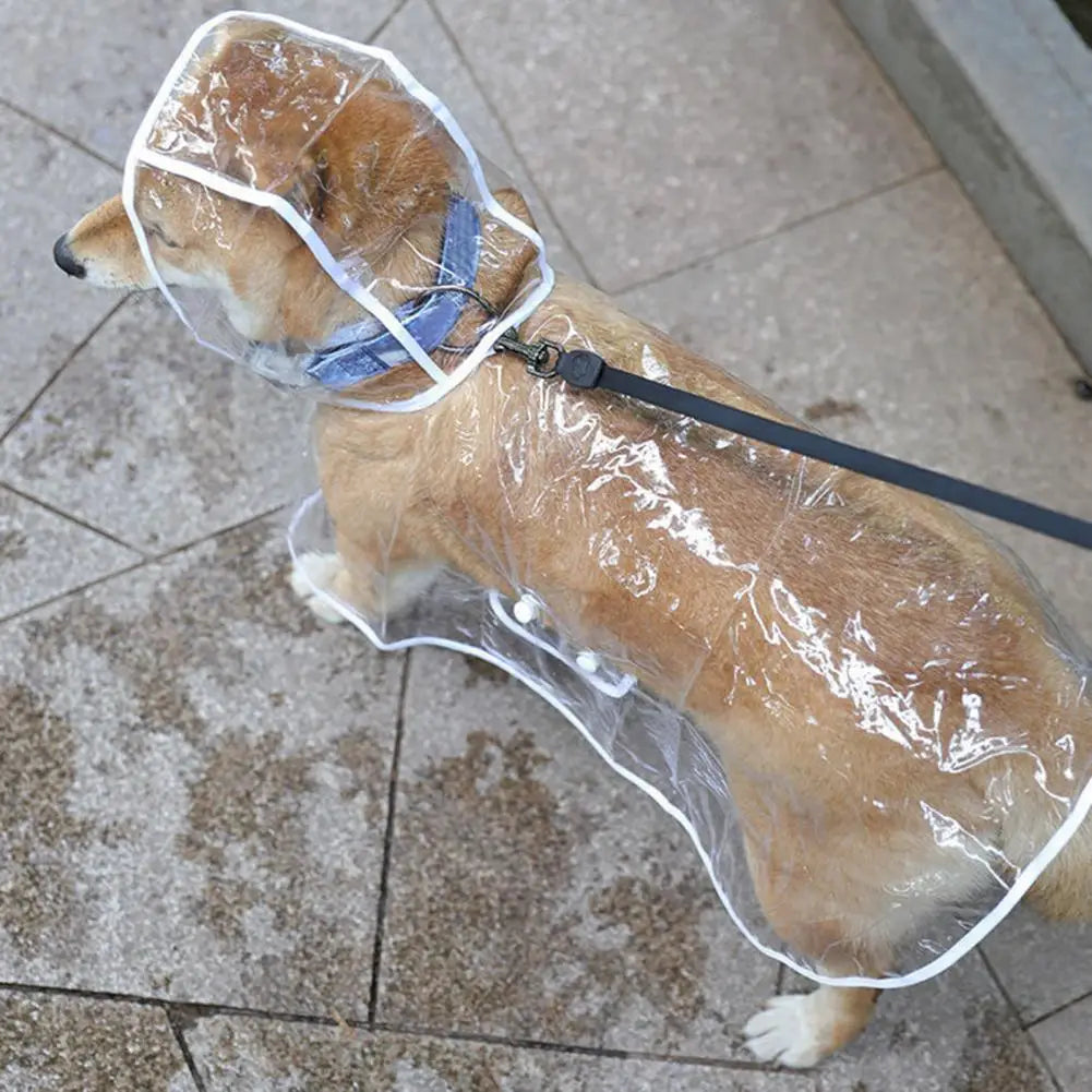 Capa de chuva fofa Leleo Pets