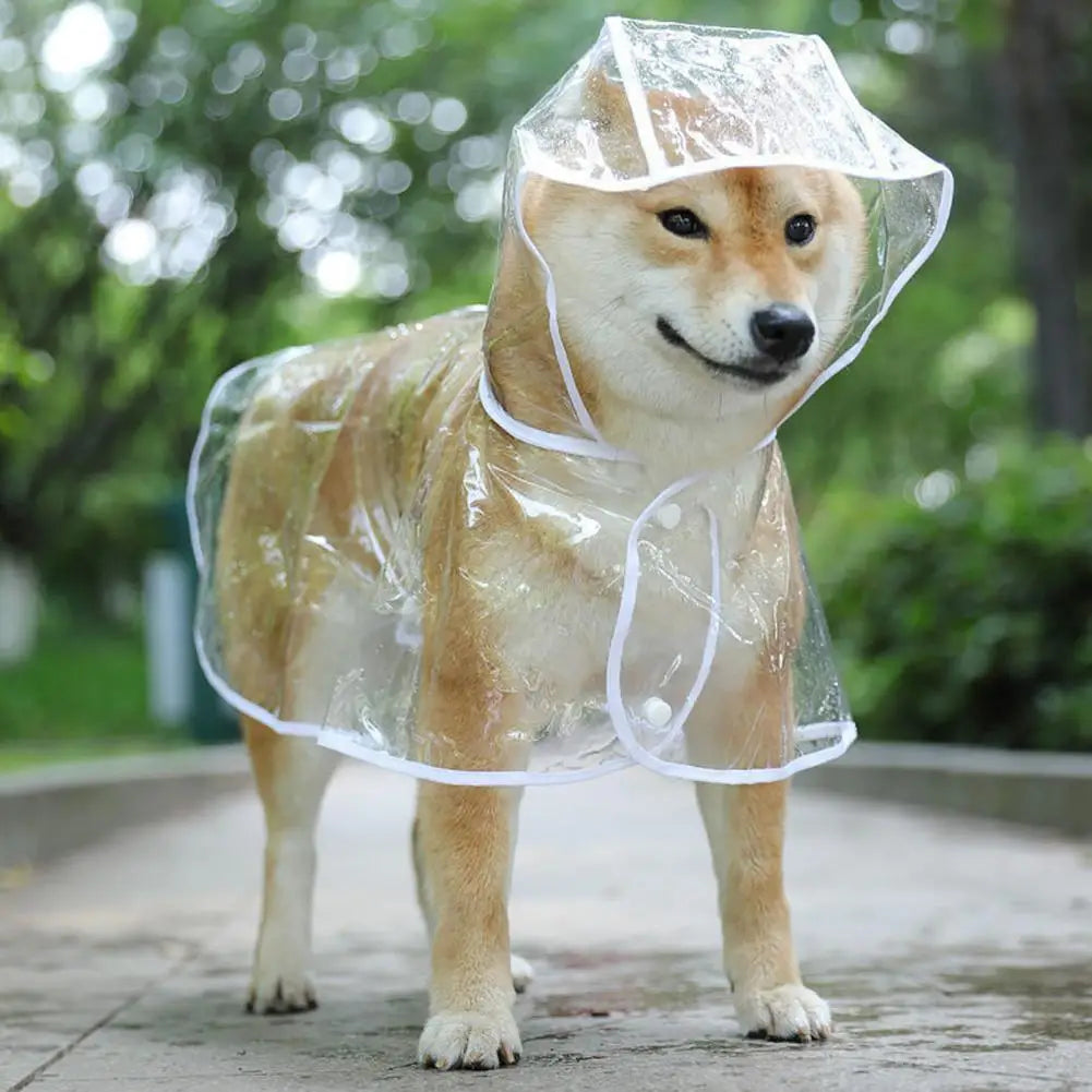 Capa de chuva fofa Leleo Pets